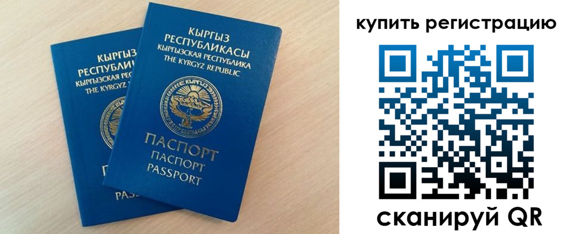 временная регистрация поиск в Палласовке